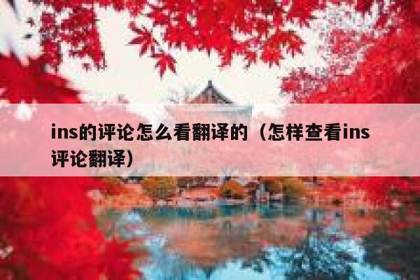 ins的评论怎么看翻译的（怎样查看ins评论翻译） 第1张