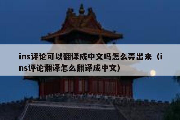 ins评论可以翻译成中文吗怎么弄出来（ins评论翻译怎么翻译成中文） 第1张