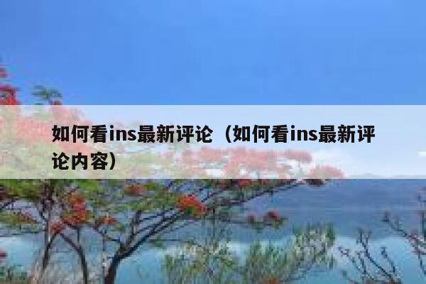 如何看ins最新评论（如何看ins最新评论内容） 第1张