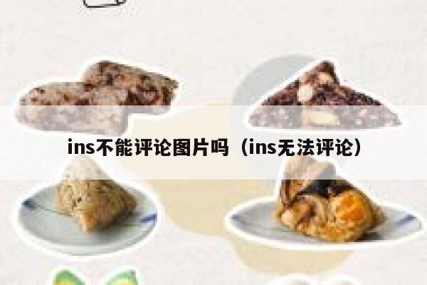 ins不能评论图片吗（ins无法评论） 第1张