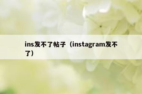 ins发不了帖子（instagram发不了） 第1张