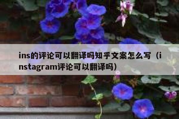 ins的评论可以翻译吗知乎文案怎么写（instagram评论可以翻译吗） 第1张