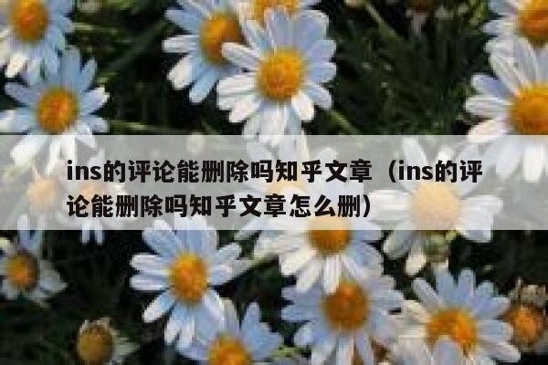 ins的评论能删除吗知乎文章（ins的评论能删除吗知乎文章怎么删） 第1张