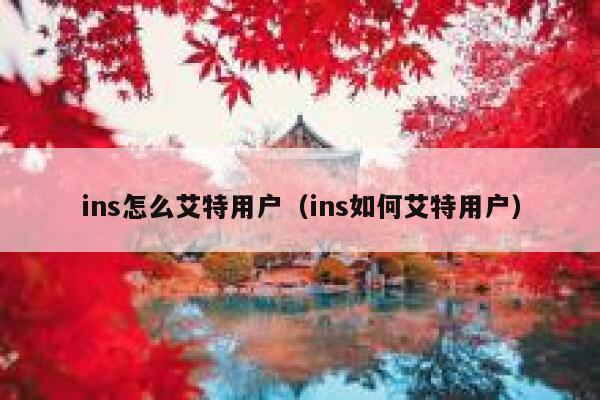 ins怎么艾特用户（ins如何艾特用户） 第1张