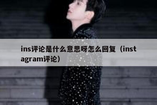 ins评论是什么意思呀怎么回复（instagram评论） 第1张