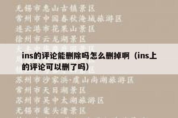 ins的评论能删除吗怎么删掉啊（ins上的评论可以删了吗） 第1张