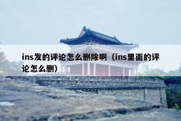 ins发的评论怎么删除啊（ins里面的评论怎么删） 第1张