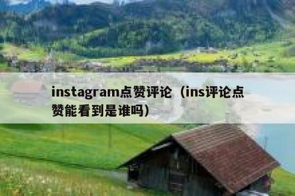 instagram点赞评论（ins评论点赞能看到是谁吗） 第1张