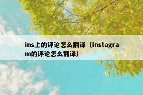 ins上的评论怎么翻译（instagram的评论怎么翻译） 第1张