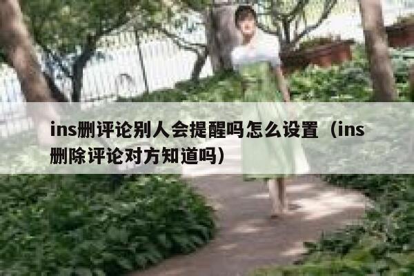 ins删评论别人会提醒吗怎么设置（ins删除评论对方知道吗） 第1张