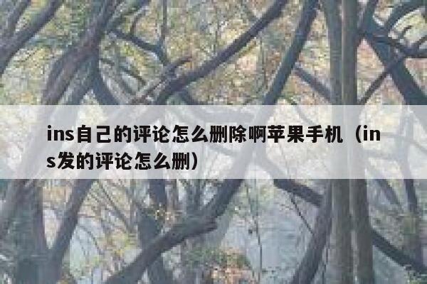 ins自己的评论怎么删除啊苹果手机（ins发的评论怎么删） 第1张