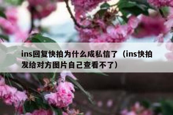 ins回复快拍为什么成私信了（ins快拍发给对方图片自己查看不了） 第1张
