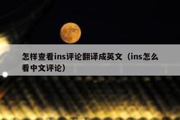 怎样查看ins评论翻译成英文（ins怎么看中文评论） 第1张