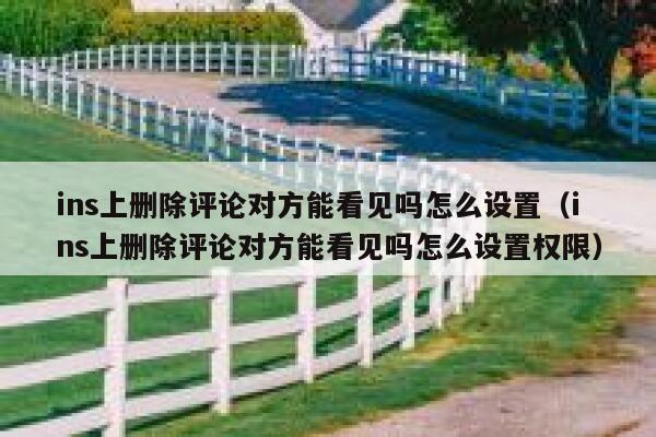 ins上删除评论对方能看见吗怎么设置（ins上删除评论对方能看见吗怎么设置权限） 第1张