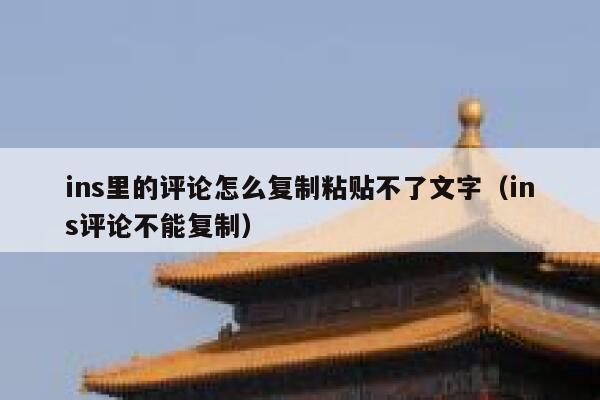 ins里的评论怎么复制粘贴不了文字（ins评论不能复制） 第1张