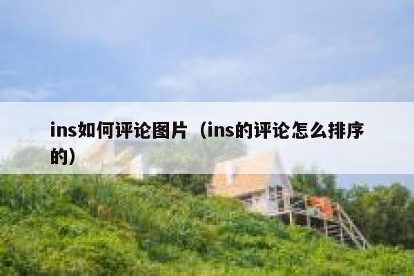 ins如何评论图片（ins的评论怎么排序的） 第1张