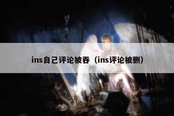 ins自己评论被吞（ins评论被删） 第1张