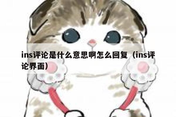 ins评论是什么意思啊怎么回复（ins评论界面） 第1张