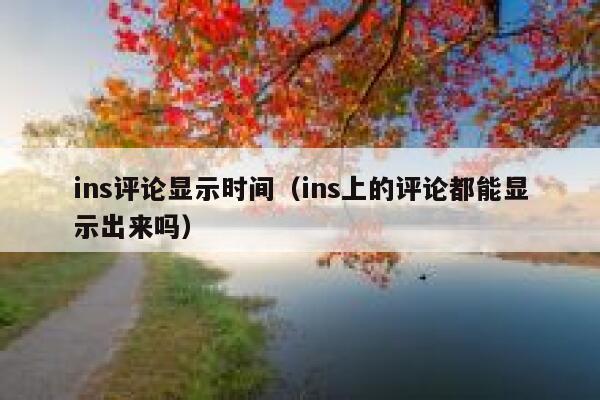 ins评论显示时间（ins上的评论都能显示出来吗） 第1张