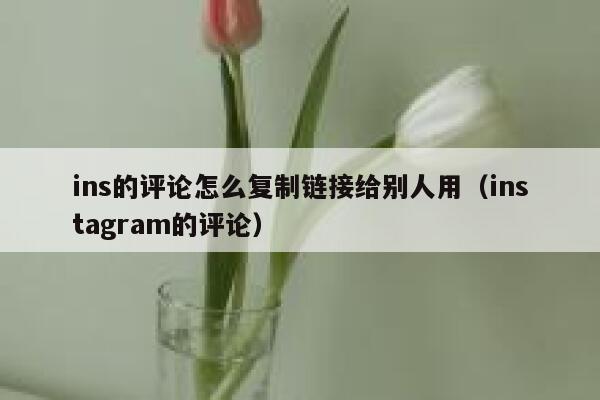 ins的评论怎么复制链接给别人用（instagram的评论） 第1张