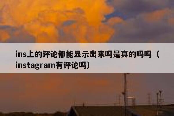 ins上的评论都能显示出来吗是真的吗吗（instagram有评论吗） 第1张