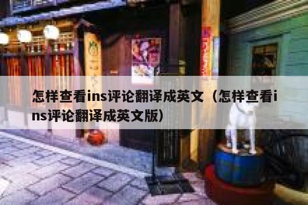 怎样查看ins评论翻译成英文（怎样查看ins评论翻译成英文版） 第1张