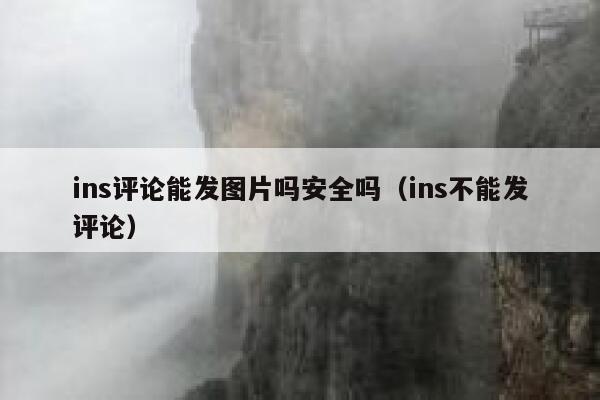 ins评论能发图片吗安全吗（ins不能发评论） 第1张