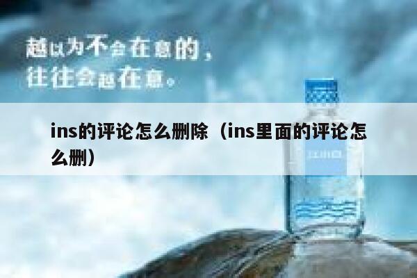 ins的评论怎么删除（ins里面的评论怎么删） 第1张