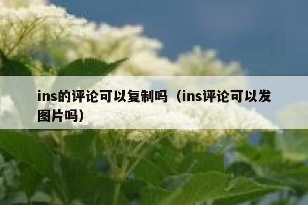 ins的评论可以复制吗（ins评论可以发图片吗） 第1张