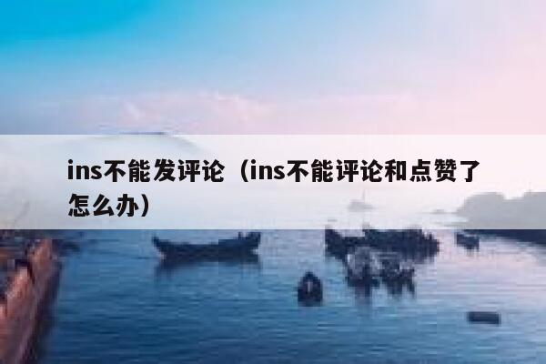 ins不能发评论（ins不能评论和点赞了怎么办） 第1张