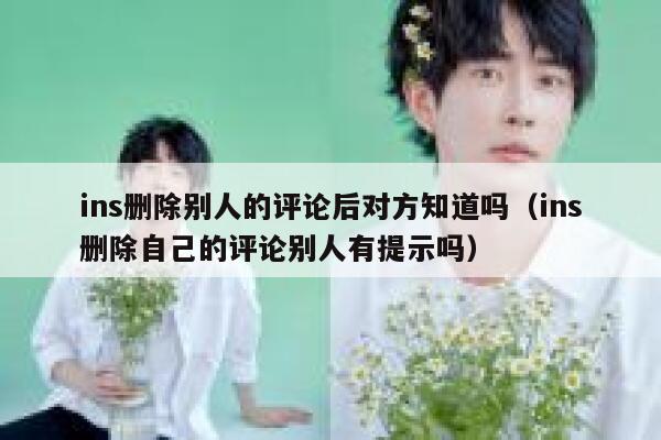 ins删除别人的评论后对方知道吗（ins删除自己的评论别人有提示吗） 第1张