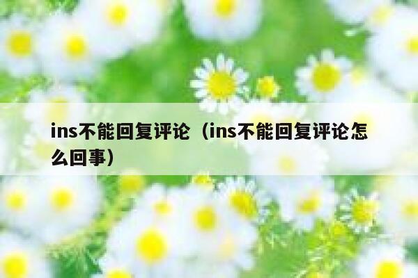 ins不能回复评论（ins不能回复评论怎么回事） 第1张