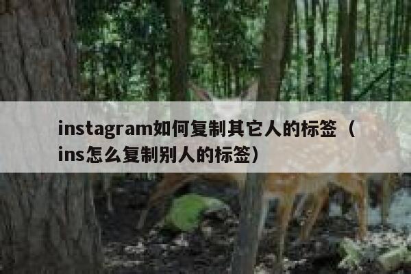 instagram如何复制其它人的标签（ins怎么复制别人的标签） 第1张