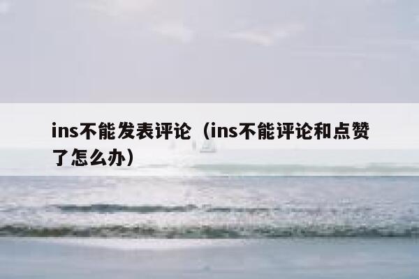 ins不能发表评论（ins不能评论和点赞了怎么办） 第1张