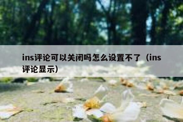 ins评论可以关闭吗怎么设置不了（ins评论显示） 第1张