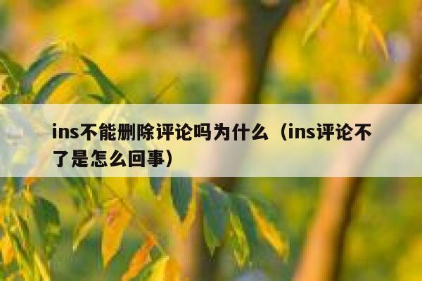 ins不能删除评论吗为什么（ins评论不了是怎么回事） 第1张