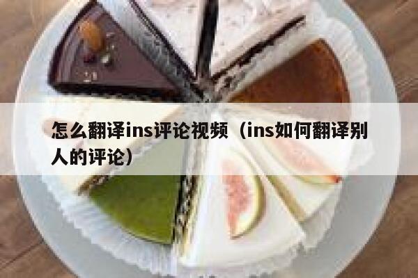 怎么翻译ins评论视频（ins如何翻译别人的评论） 第1张
