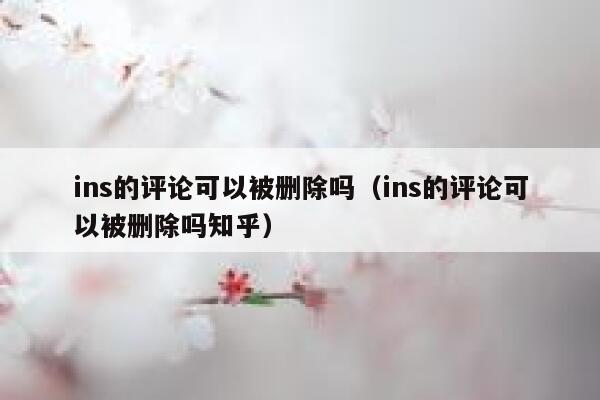 ins的评论可以被删除吗（ins的评论可以被删除吗知乎） 第1张