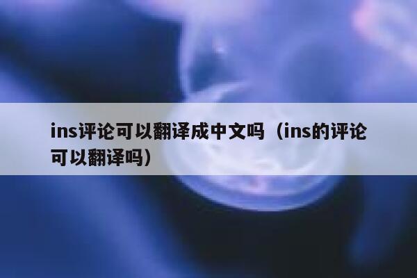 ins评论可以翻译成中文吗（ins的评论可以翻译吗） 第1张