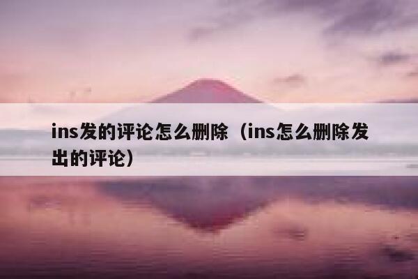 ins发的评论怎么删除（ins怎么删除发出的评论） 第1张