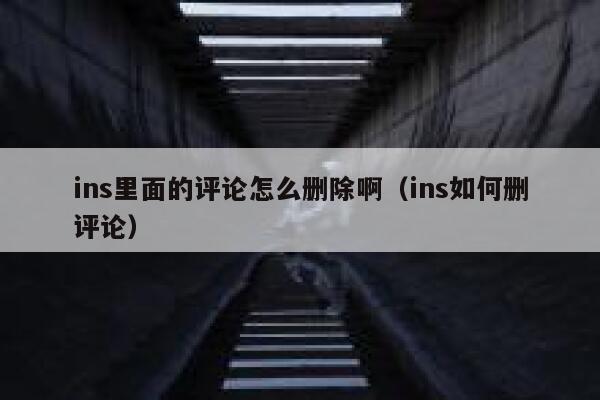 ins里面的评论怎么删除啊（ins如何删评论） 第1张