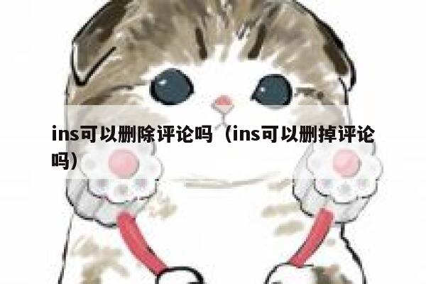 ins可以删除评论吗（ins可以删掉评论吗） 第1张
