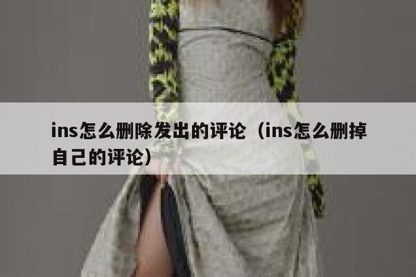 ins怎么删除发出的评论（ins怎么删掉自己的评论） 第1张