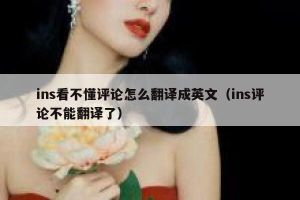 ins看不懂评论怎么翻译成英文（ins评论不能翻译了） 第1张