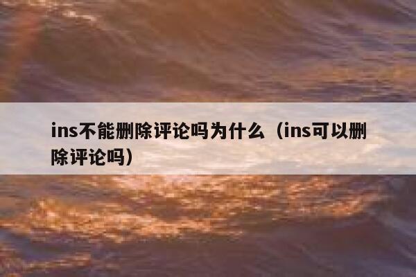 ins不能删除评论吗为什么（ins可以删除评论吗） 第1张