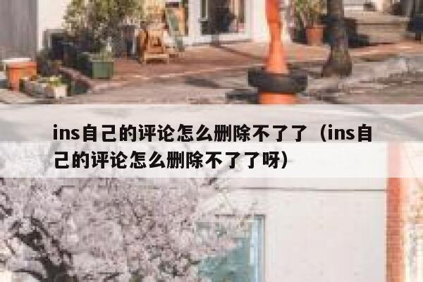 ins自己的评论怎么删除不了了（ins自己的评论怎么删除不了了呀） 第1张