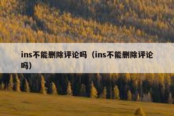 ins不能删除评论吗（ins不能删除评论吗） 第1张