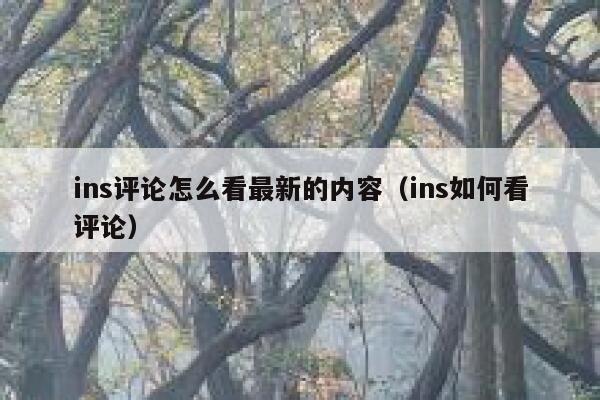 ins评论怎么看最新的内容（ins如何看评论） 第1张