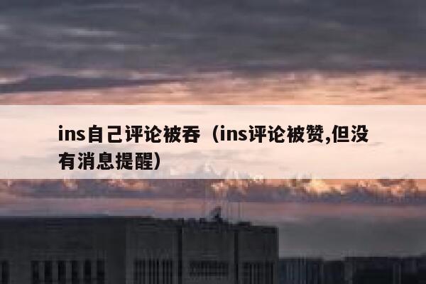 ins自己评论被吞（ins评论被赞,但没有消息提醒） 第1张