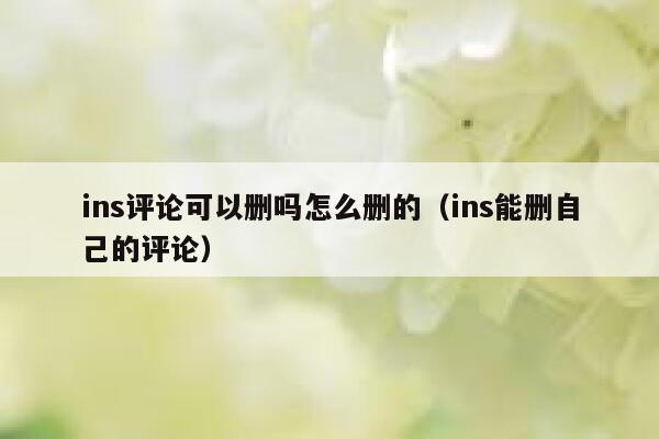 ins评论可以删吗怎么删的（ins能删自己的评论） 第1张